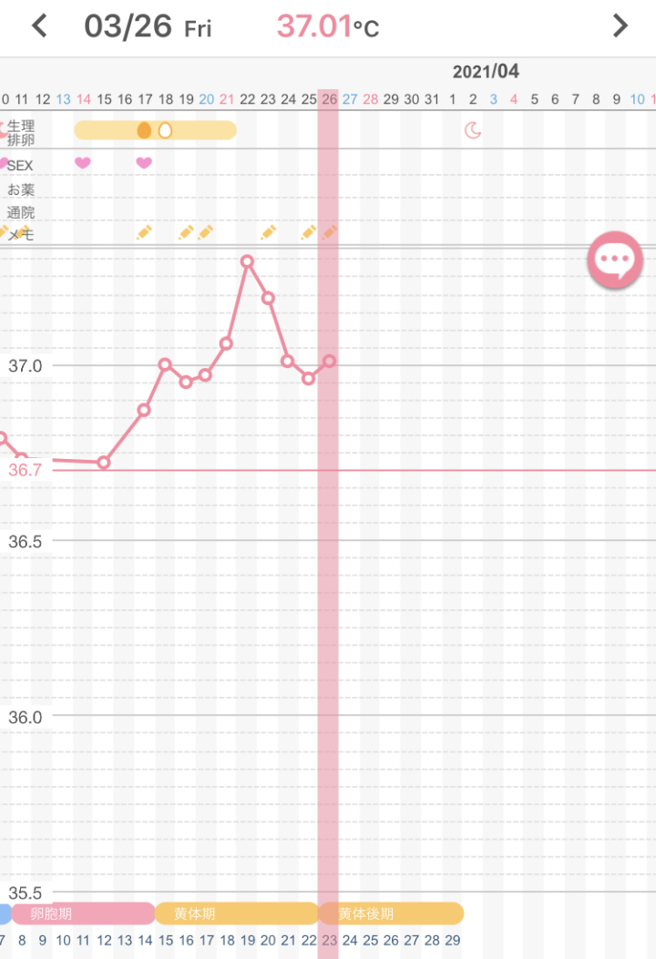 高温期9日目