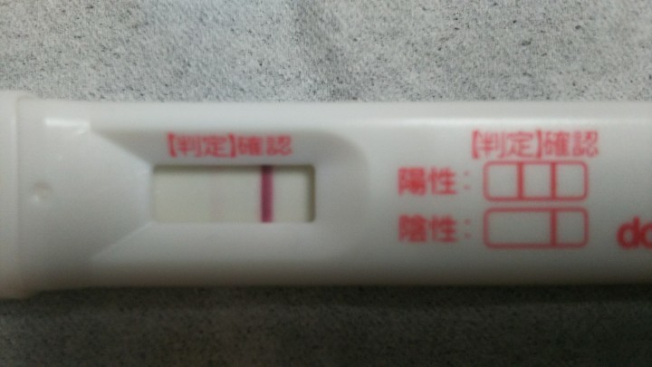 高温 期 10 日 目